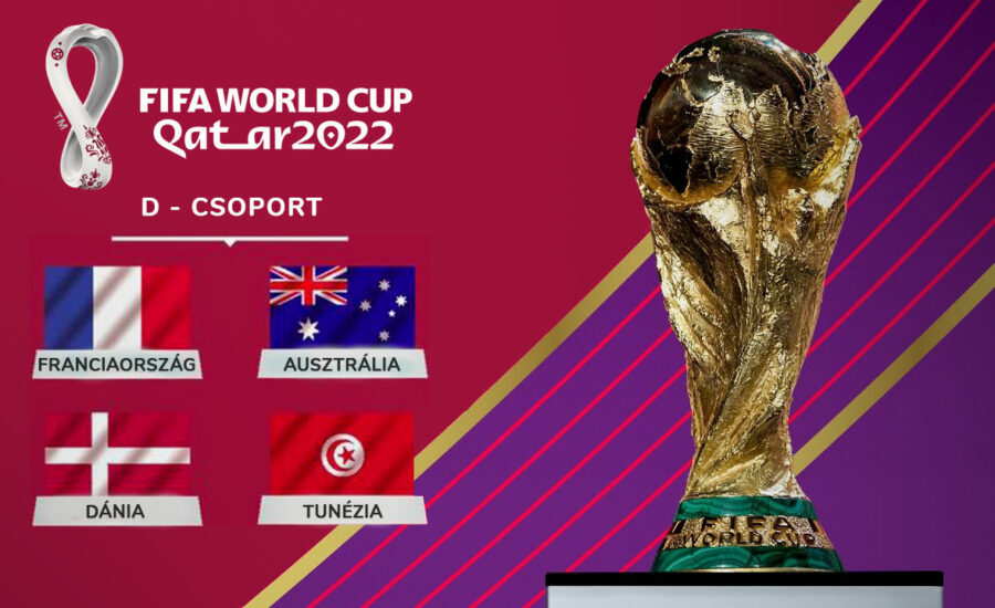 fifa world cup d-csoport